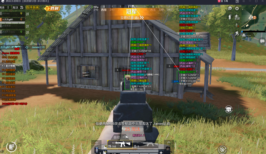 和平精英「战神w」辅助